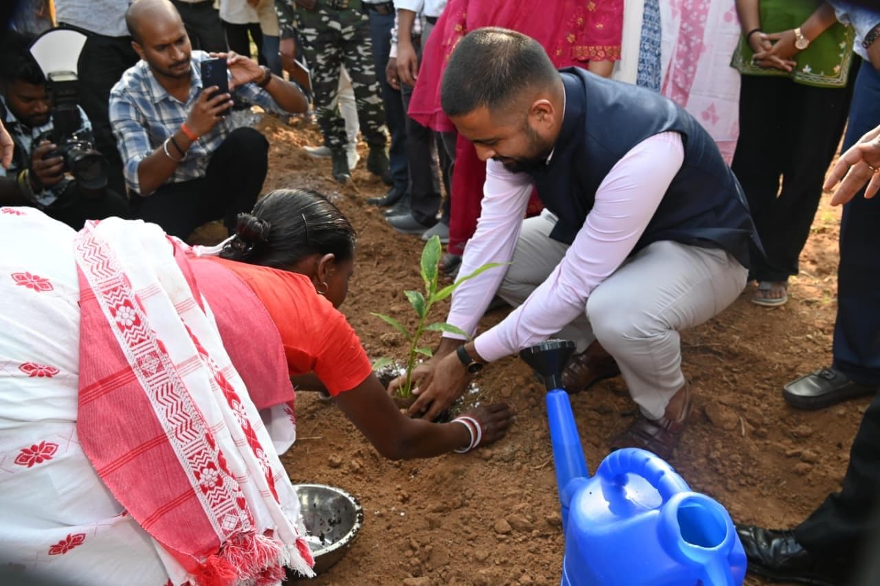 पौधारोपण करते डीडीसी
