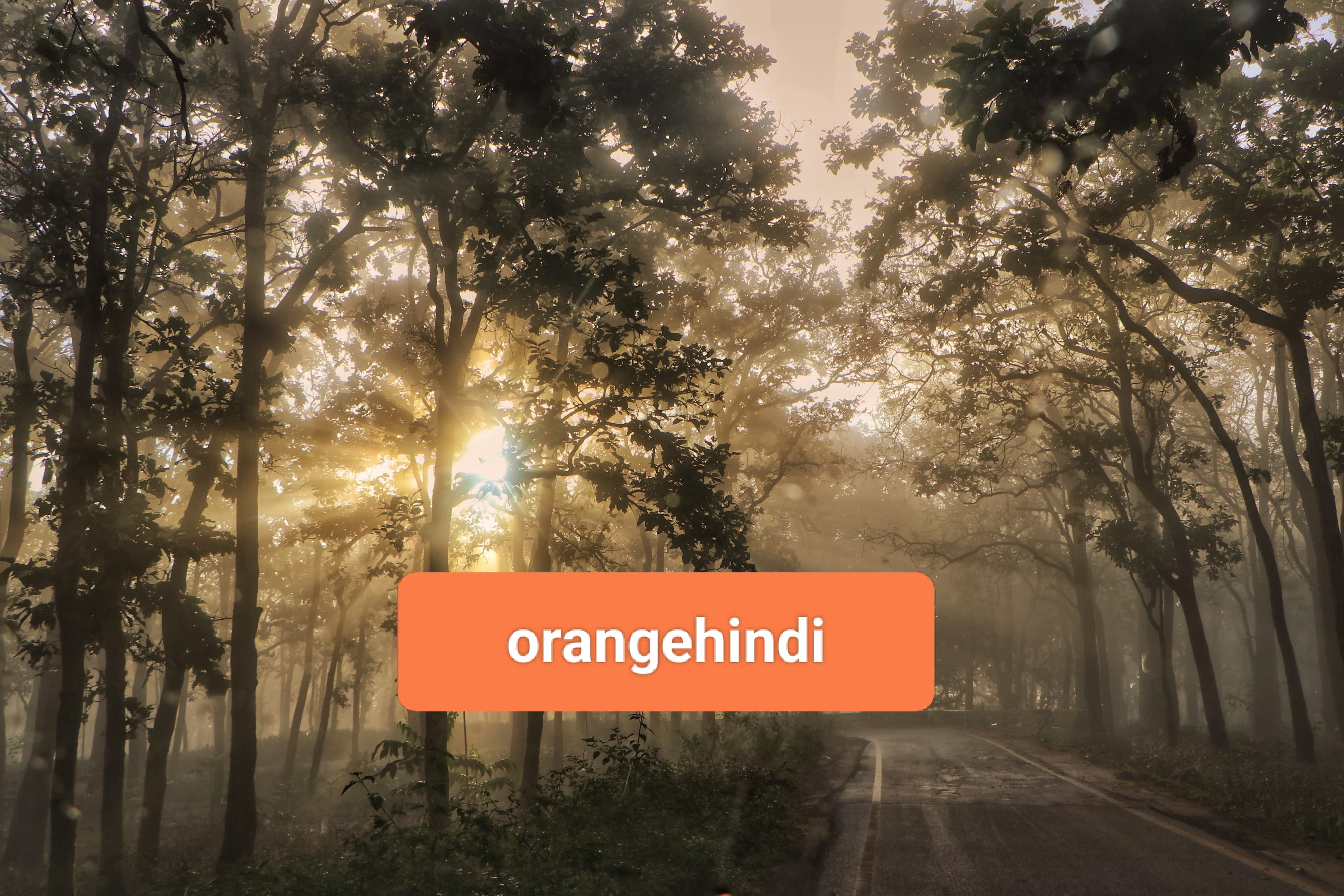 बढ़ते ठंड के बीच निकलता सूरज