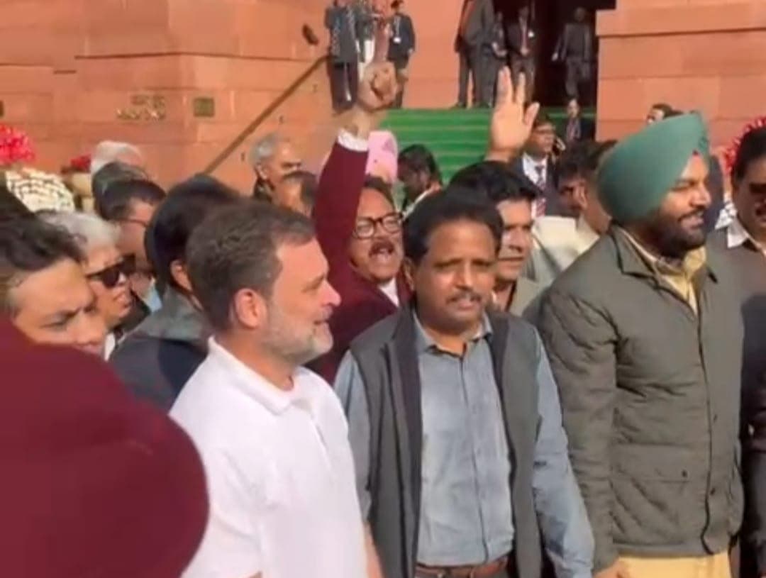 प्रदर्शन करते सांसद