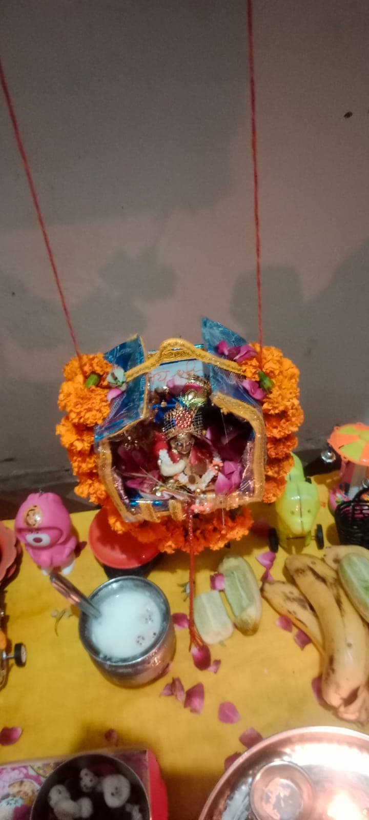 आधी रात को गूंजा ‘नंद घर आनंद भयो’, कृष्ण जन्मोत्सव में झूम उठा भंडरा आधी रात को गूंजा ‘नंद घर आनंद भयो’, कृष्ण जन्मोत्सव में झूम उठा भंडरा