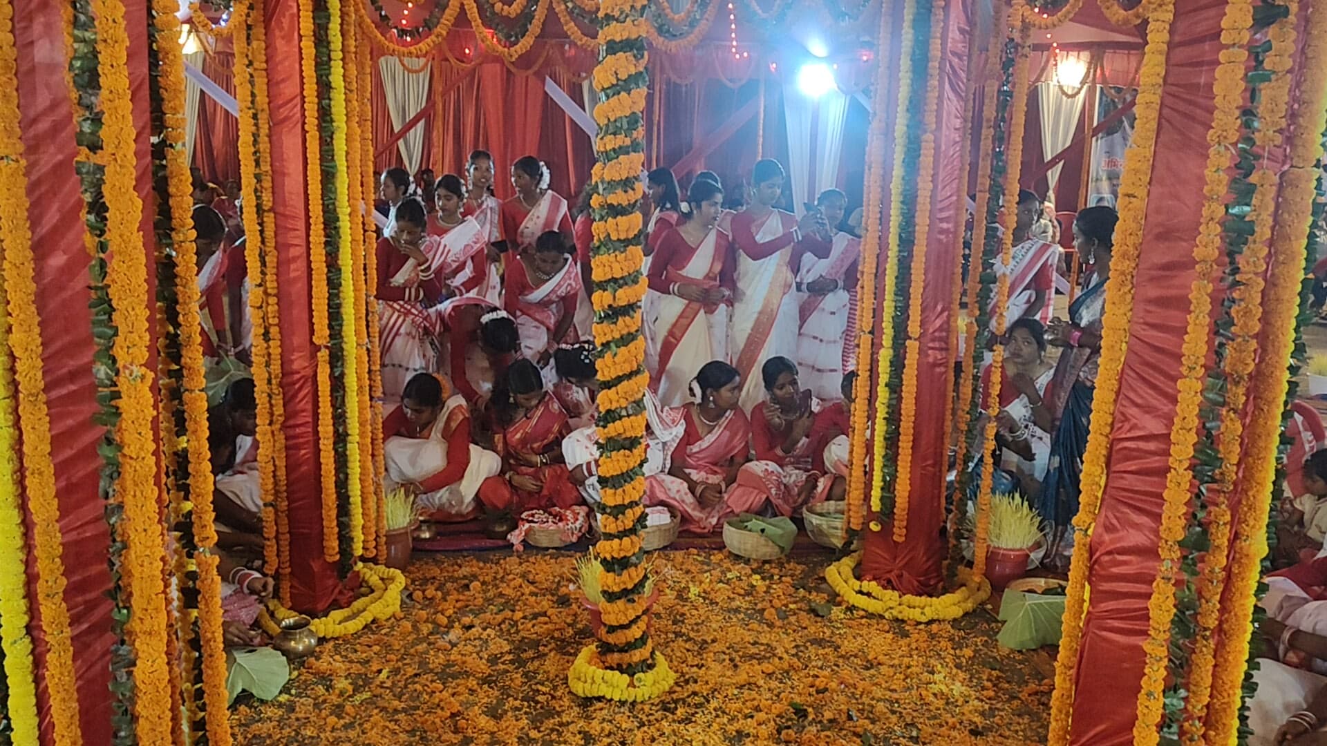 मैना बगीचा में करमा की उमंग, प्रकृति संरक्षण का संदेश मैना बगीचा में करमा की उमंग, प्रकृति संरक्षण का संदेश